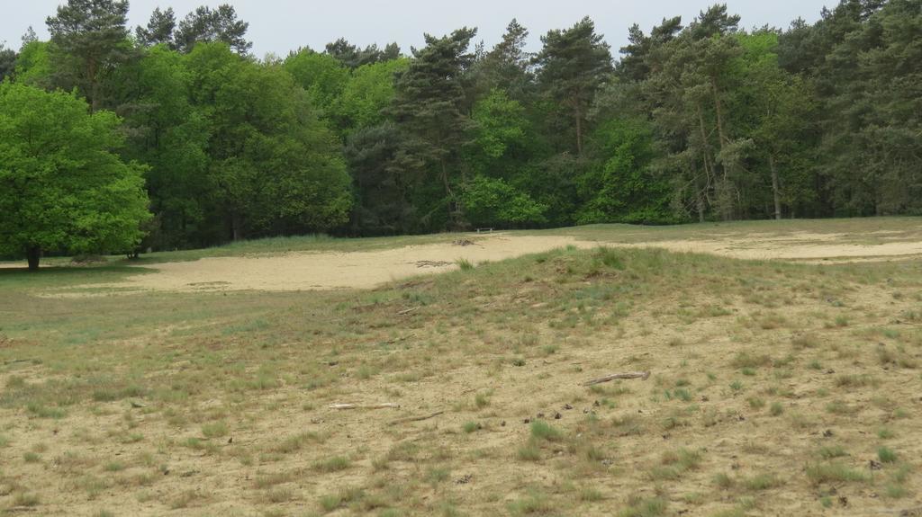 'T Zwanemeer Gieten Esterno foto