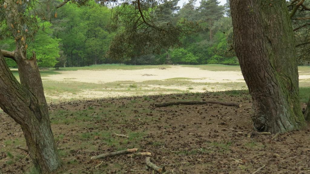 'T Zwanemeer Gieten Esterno foto