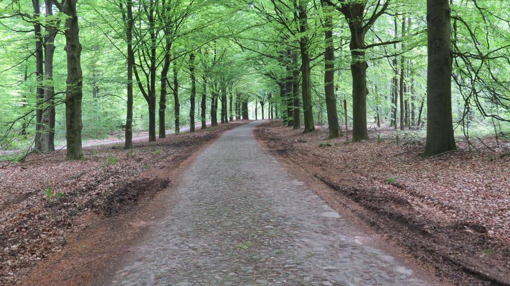 'T Zwanemeer Gieten Esterno foto