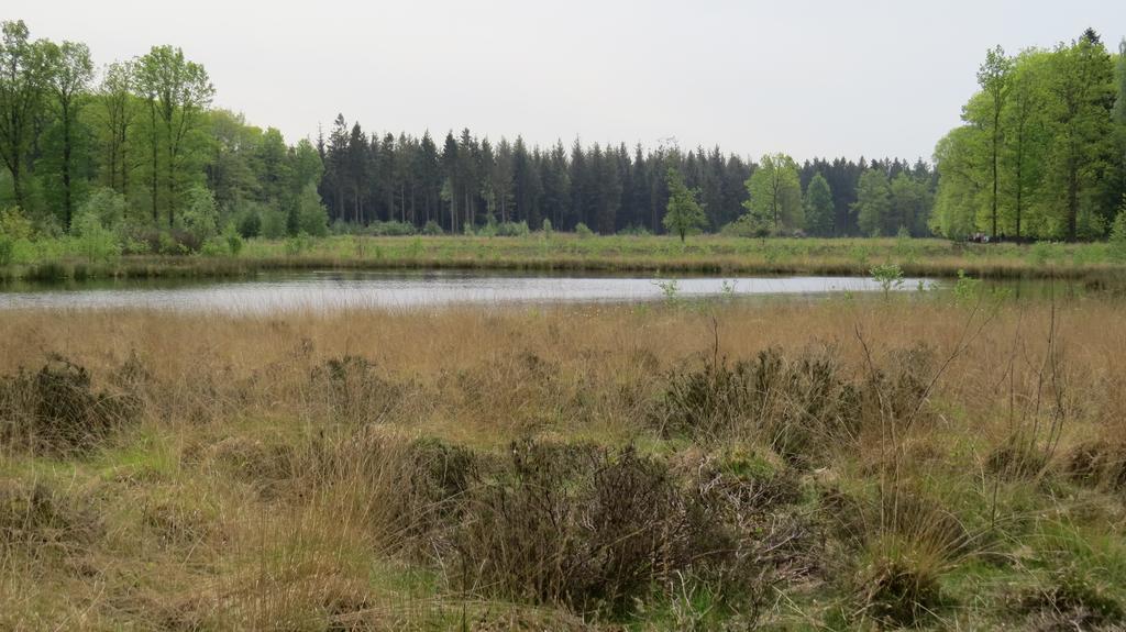 'T Zwanemeer Gieten Esterno foto